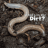 What's in the Dirt? (Little Pebble: What's in There? )