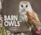 Barn Owls