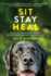 Sit Stay Heal: How an Underachieving Labrador Won Our Hearts and Brought Us Together