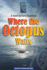 Where the Octopus Waits