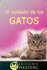 El cuidado de los gatos