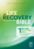 Tyndale Nlt Life Recovery Bible (Hardcover): 2nd Edition-Addiction Bible Tied to 12 Steps of Recovery for Help With Drugs, Alcohol, Personal Struggles-With Meeting Guide