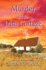 Murder in an Irish Cottage: a Charming Irish Cozy Mystery (an Irish Village Mystery)