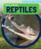 Really Strange Reptiles: Vol 0