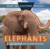 Elephants: a Savanna Keystone Species (What Are Keystone Species? )