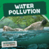 Water Pollution (Environmental Concerns)