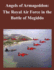 Angels of Armageddon: The Royal Air Force in the Battle of Megiddo