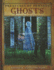 Ghosts (Creatures of Fantasy)