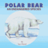 Polar Bear: An endangered species