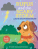 Rufus and the Scary Storm: a Book About Being Brave (Frolic First Faith)