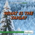 What is the Taiga?