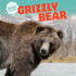 Grizzly Bear (North America's Biggest Beasts)