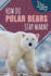 How Do Polar Bears Stay Warm?