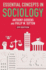 Essential Concepts in Sociology (2nd Edition)