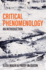Critical Phenomenology-an Introduction
