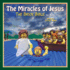 The Miracles of Jesus: the Brick Bible for Kids