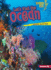 Let's Visit the Ocean Format: Paperback