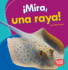 Mira, Una Raya! (Look, a Ray! ) (Bumba Books  En Espaol-Veo Animales Marinos (I See Ocean Animals)) (Spanish Edition)