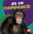 Es Un Chimpanc! (It's a Chimpanzee! ) Format: Paperback