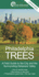 Philadelphia Trees-a Field Guide to the City and the Surrounding Delaware Valley