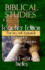 Biblical Studies Teacher Edition Part Two: New Testament (Ot and Nt Biblical Studies Student and Teacher Editions)
