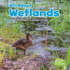 All About Wetlands (Habitats) (Little Pebble: Habitats)