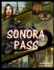 Sonora Pass