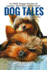 Dog Tales: 12 TRUE Dog Stories of Loyalty, Heroism and Devotion