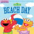Indestructibles: Sesame Street: Beach Day: Chew Proof - Rip Proof - Nontoxic - 100% Washable (Book for Babies, Newborn Books, Safe to Chew)