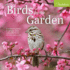 Audubon Birds in the Garden Wall Calendar 2025 Format: Calendar-Wall Calendar