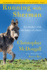 Running With Sherman: the Donkey With the Heart of a Hero McDougall, Christopher