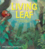 Living Leaf: the Story of How Plants Grow and Survive