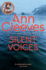 Silent Voices (Vera Stanhope)