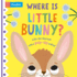 Where is Little Bunny? : the Lift-the-Flap Book With a Pop-Up Ending! (Where is Little..., 1)