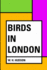 Birds in London