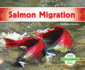 Salmon Migration (Animal Migration Set 1)