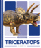 Triceratops (Dinosaurs)