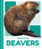 Beavers