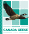 Canada Geese (Pond Animals)