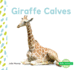 Giraffe Calves (Baby Animals)