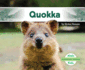 Quokka (Australian Animals)