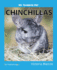 My Favorite Pet: Chinchillas