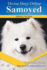 Samoyed