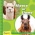 Alpaca Or Llama (21st Century Junior Library: Which is Which? )