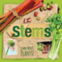 Stems (Learn About Plants! )