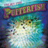 Pufferfish (Freaky Fish)