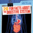 20 Fun Facts About the Digestive System (Fun Fact File: Body Systems)