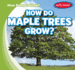 How Do Maple Trees Grow?