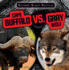 Cape Buffalo Vs. Gray Wolf (Bizarre Beast Battles)