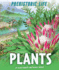 Plants (Prehistoric Life)